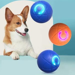 Interaktiv Automatisk Bold til Hunde og Katte - Orange