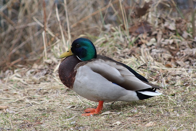 Sådan knækker du koden: 7 smarte strategier til krydsord